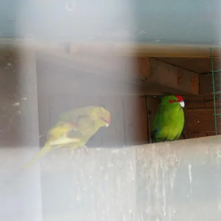 Zum Schlossgarten 3* Ralswiek