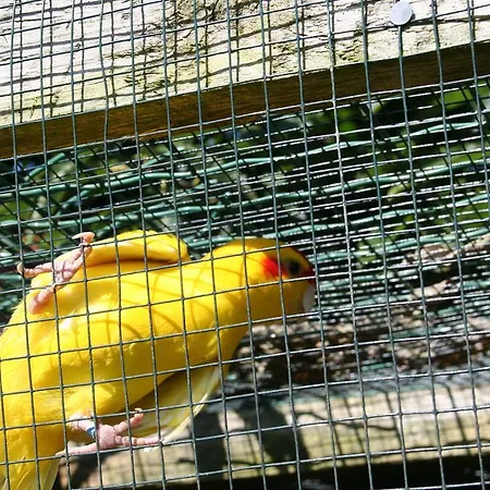 Zum Schlossgarten 3*