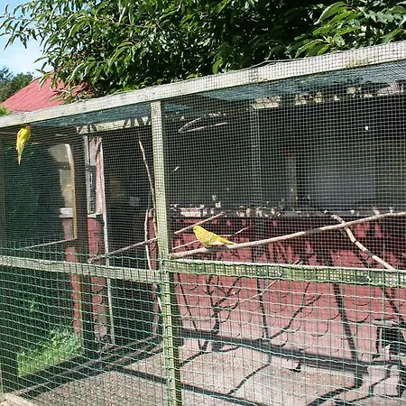 Zum Schlossgarten Pensionat