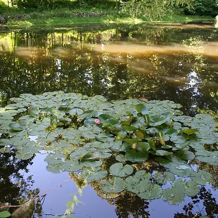 Zum Schlossgarten Pensionat 3*