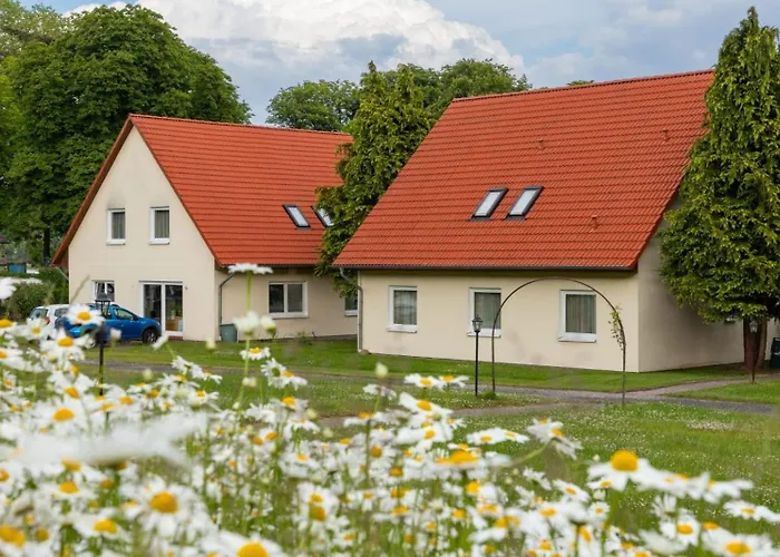 Zum Schlossgarten Affittacamere Ralswiek