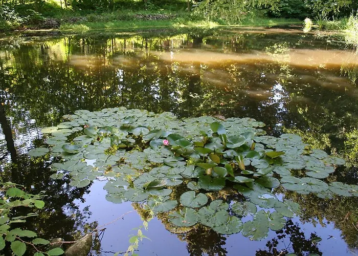 Zum Schlossgarten بيت ضيافة 3*